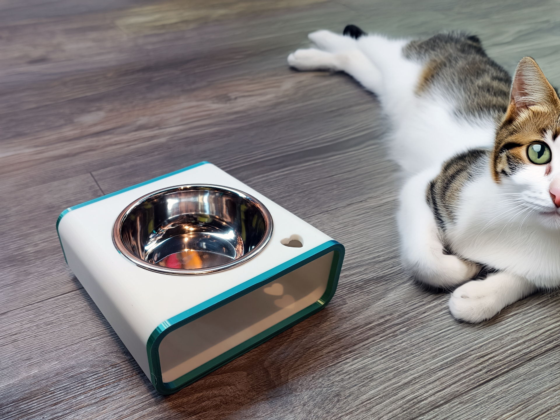 Comedero elevado para mascotas