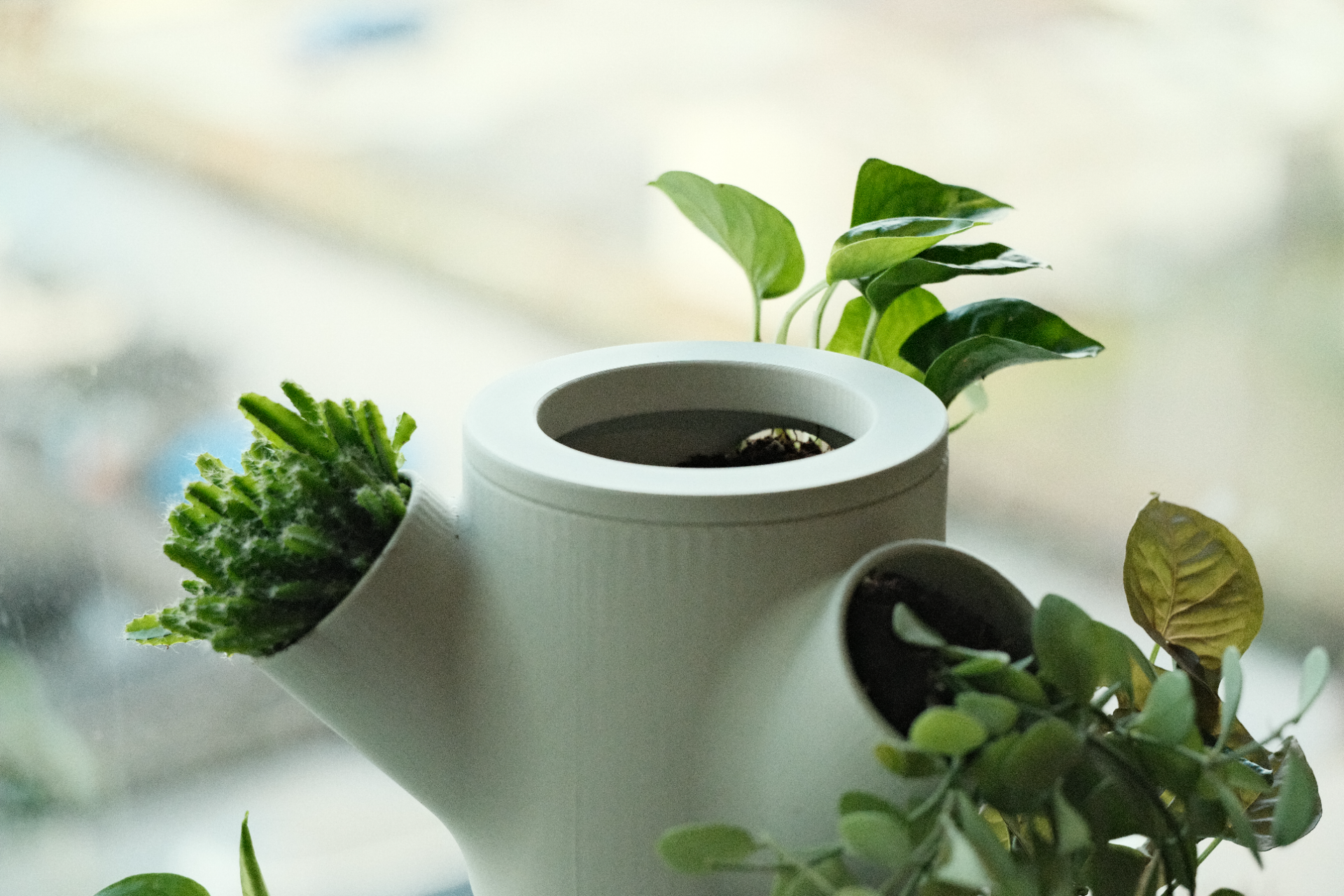 Macetero Vertical Modular